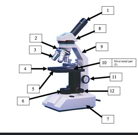 Micro Bio Lab Practical Diagram Quizlet