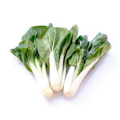 Long Bok Choy Sum Lbs Wah Teng Produce Ltd