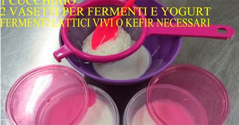 YOGURT E KEFIR FERMENTI LATTICI VIVI KIT PER FARE LO YOGURT A CASA