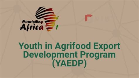 Yaedp Nepc Youth Empowerment Programme Application Registration