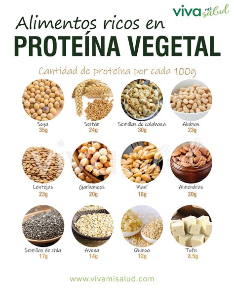 Alimentos Ricos En Proteinas