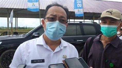 Harga Pupuk Mahal Dinas Pertanian Kubar Sarankan Petani Gunakan Pupuk