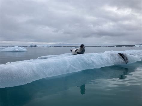 Iceland Hike and Explore - Wilderness Inquiry