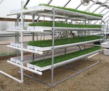 Farmtek Hydroponic Fodder Systems Farming Growing Supplies Hoop