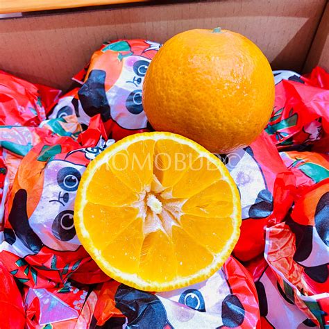 China Chun Jian Mandarin Orange Gift Box (3kg) — MomoBud