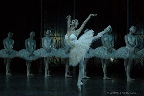 Polina Semionova; Swan Lake | Ballet pictures, Artist inspiration ...