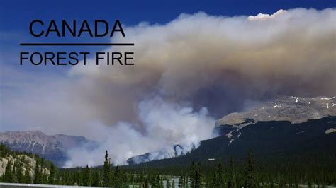 Naturkatastrophe Waldbrand Lauffeuer In Kanada Forest Fire