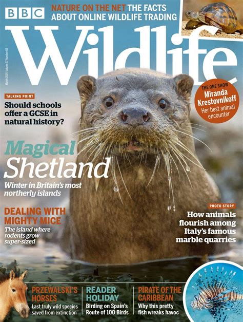 Bbc Wildlife March 2019 Magazine Get Your Digital Subscription