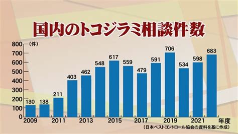 韓国で大発生「トコジラミ」日本でも拡大のおそれ、専門家警鐘「殺虫剤成分に耐性」強力トコジラミも 対策は？ Tbs News Dig 2ページ