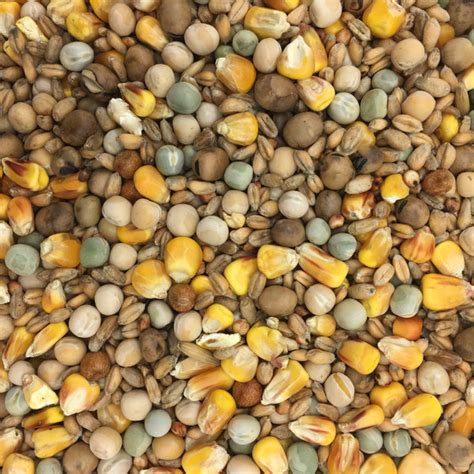 Sss Trophy Mix 20kg Ss Seed Co Ltd