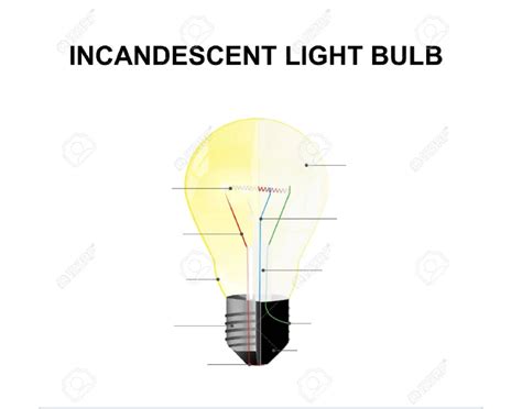 Parts Of A Incandescent Light Bulb Quiz — Printable Worksheet