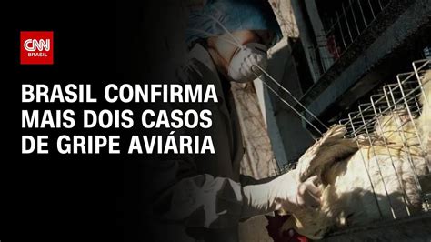 Brasil confirma mais dois casos de gripe aviária LIVE CNN YouTube