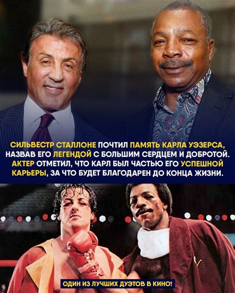 Рокки | Пикабу