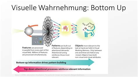 Prozess Der Visuellen Wahrnehmung Human Factors