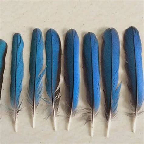 10 шт. драгоценные красивые перья Kingfisher 8-10 см, в различных ...