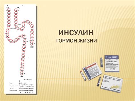 Инсулин - гормон жизни. Всё об инсулине - презентация онлайн