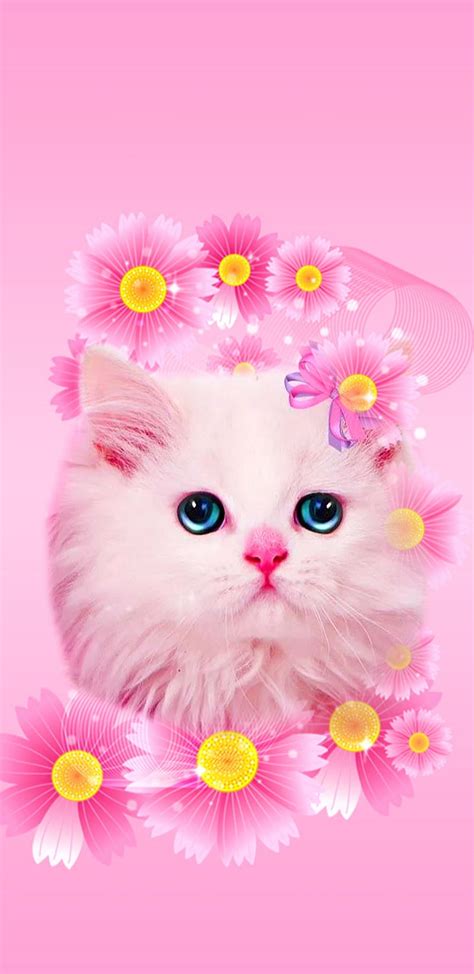 Top 151+ cute pink cat wallpaper best - in.iedunet.edu.vn