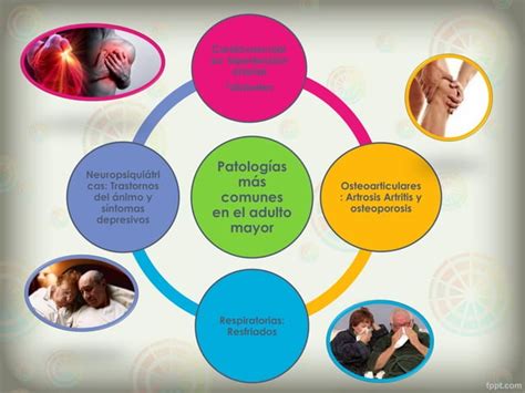 Enfermedades Prevalentes En Adultos Mayores Ppt