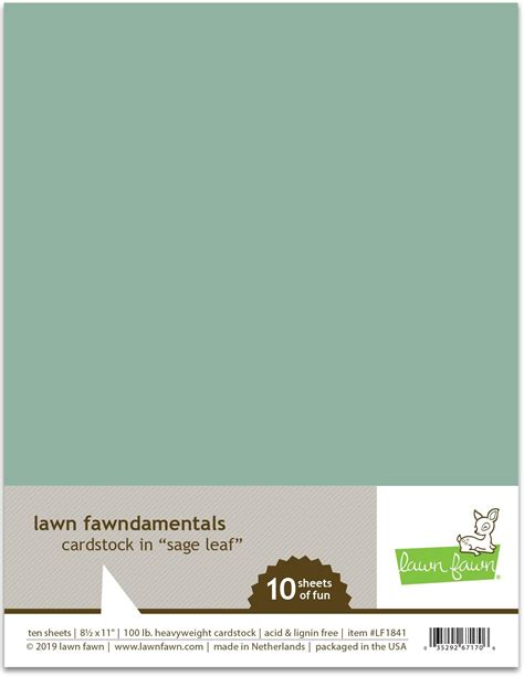 Bazzill Lily Pond 12x12 Textured Cardstock 80 Lb Sage Green Scrapbook Paper