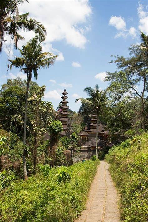 Wandern In Ubud Der Campuan Ridge Walk Und Entlang Des Sungai Ayung