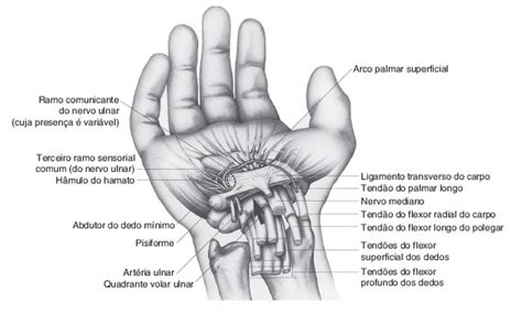 Fig20 01