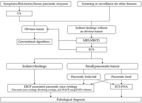 Clinical Analysis of Early-Stage Pancreatic Cancer and Proposal for a New Diagnostic Algorithm