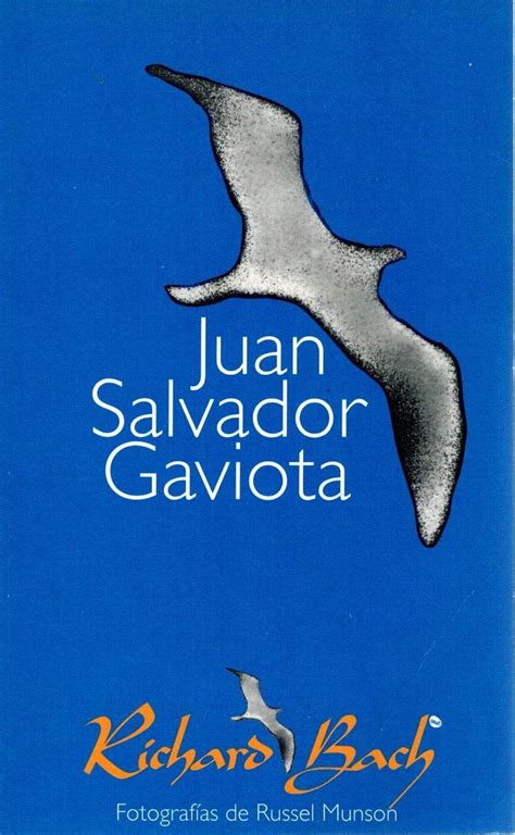 Juan Salvador Gaviota Municipalidad De Temuco