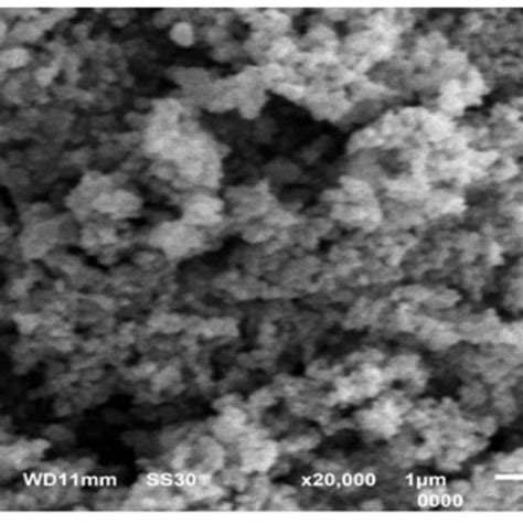 A Surface Morphology Of Tio2 P25 Download Scientific Diagram