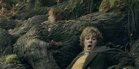 LOTR: What Are Huorns?