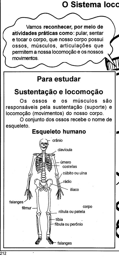 Education Teaching Human Body