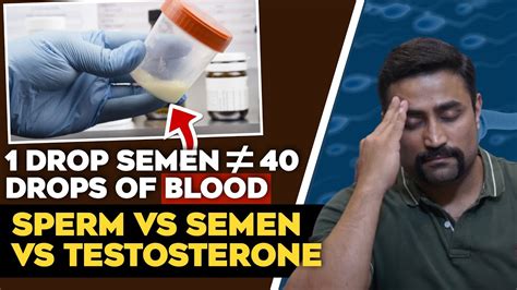 Sperm Vs Semen Vs Testosterone How Are They Made And The Stupid Things People Say Youtube