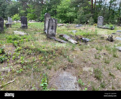 Ruins Of The Old Jewish Cemetery In Otwock Poland Cmentarz Ydowski W