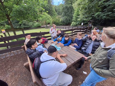 Klassenausflug Der A Bielefeld Heimat Tierpark Olderdissen