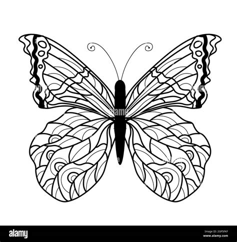 Livre De Coloriage Aux Papillons Dessin Linéaire Dun Papillon Photo