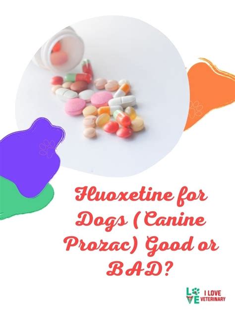 Fluoxetine for Dogs (Canine Prozac) Good or BAD? - I Love Veterinary ...