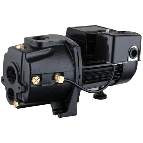 Acquaer Hp Dual Voltage Cast Iron Shallow Well Jet Pump Sjc