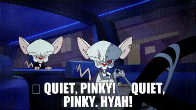 YARN Quiet Pinky Quiet Pinky Hyah Animaniacs 2020