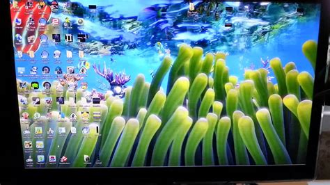 Aquarium Live Wallpaper Windows 10 - WallpaperSafari