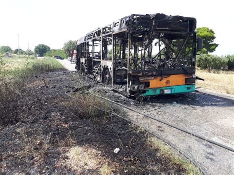 Ancora Paura Sugli Autobus A Fuoco Il Mezzo Flixbus Partito Da Termoli