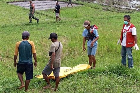 Buruh Tani Ditemukan Tewas Di Pematang Sawah BALIPOST