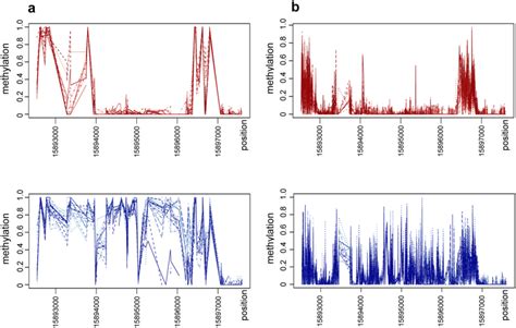 Sexual Epigenetics Gender Specific Methylation Of A Gene In The Sex Determining Region Of