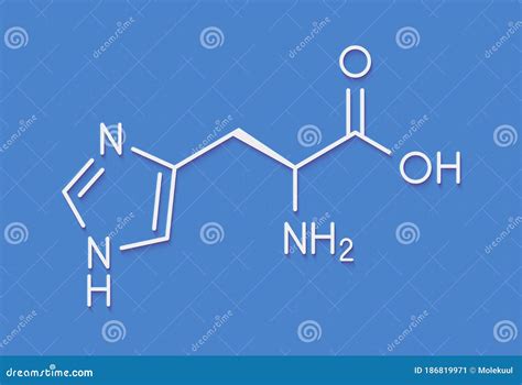 Histidine L Histidine His H Amino Acid Molecule Skeletal Formula