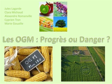 Ppt Les Ogm Progr S Ou Danger Powerpoint Presentation Free