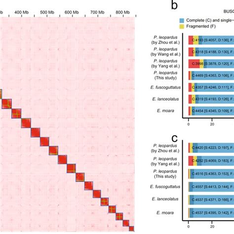 Statistics On Genome Assembly And Comparison Of Four Version Download Scientific Diagram