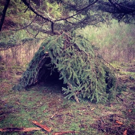 How to build a survival shelter 11 simple designs – Artofit