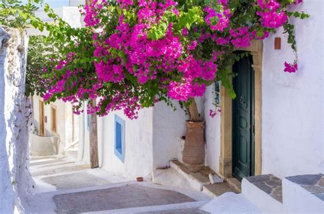 1169 Photos of Leros, Greece | Greeka