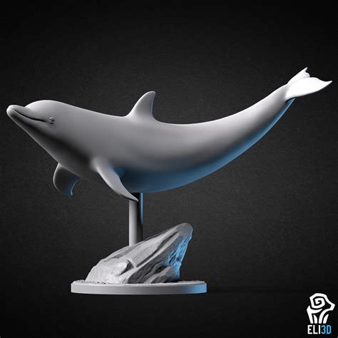 ArtStation - Animals - Ocean Wildlife - 3D Print Models | Resources