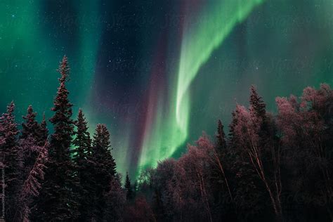 "Aurora Borealis Outside Of Fairbanks, Alaska" by Stocksy Contributor "Tara Romasanta ...