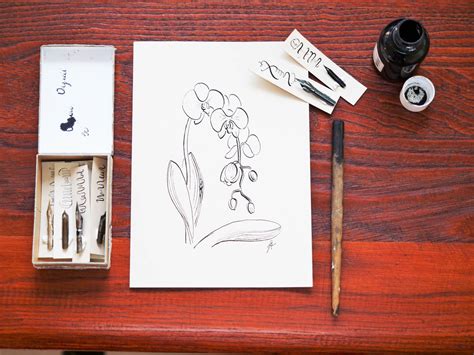 Comment Dessiner Une Orchid E Avec Une Plume Et De L Encre De Chine