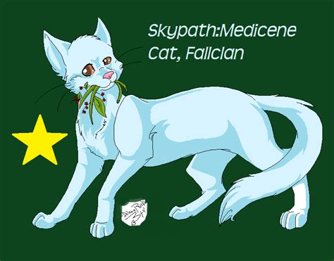 Warrior Medicine Cat By Scarpath123 On Deviantart